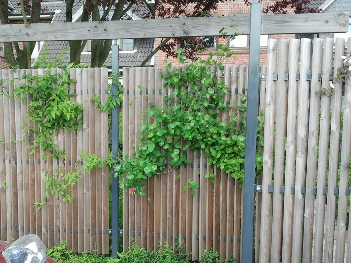Sichtschutz Im Reihenhausgarten Irene Alberts Landschaftsarchitektin
